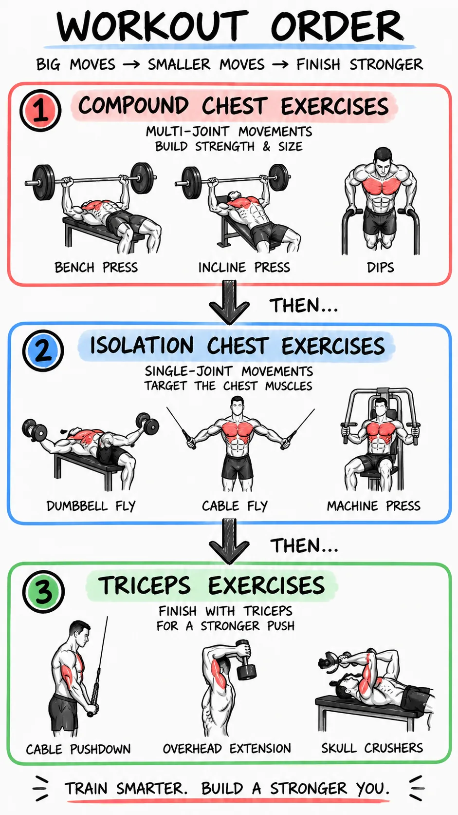 Whiteboard-style illustration showing a workout order flowchart: compound chest exercises flowing to isolation chest exercises flowing to triceps exercises, clean minimalist design